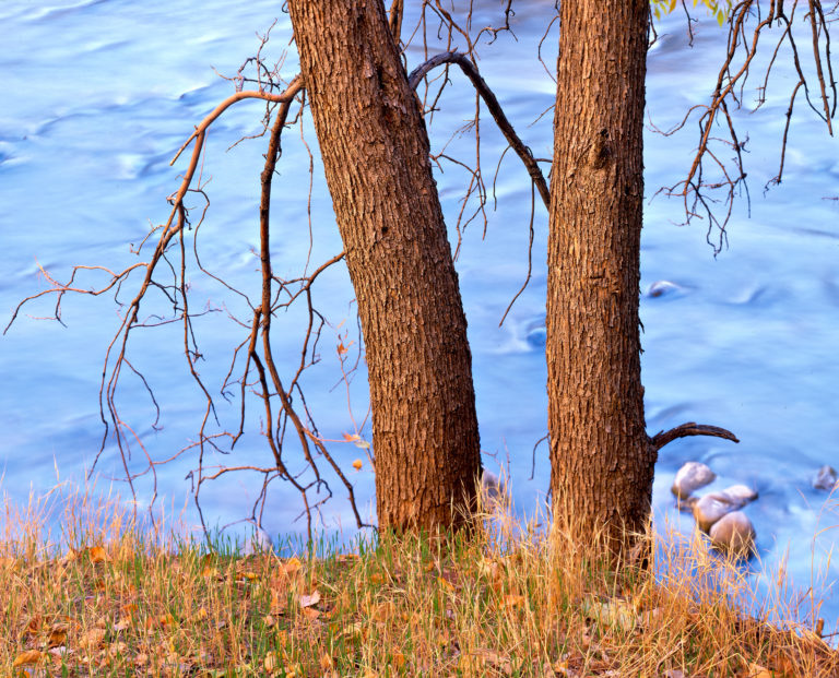 Along the River