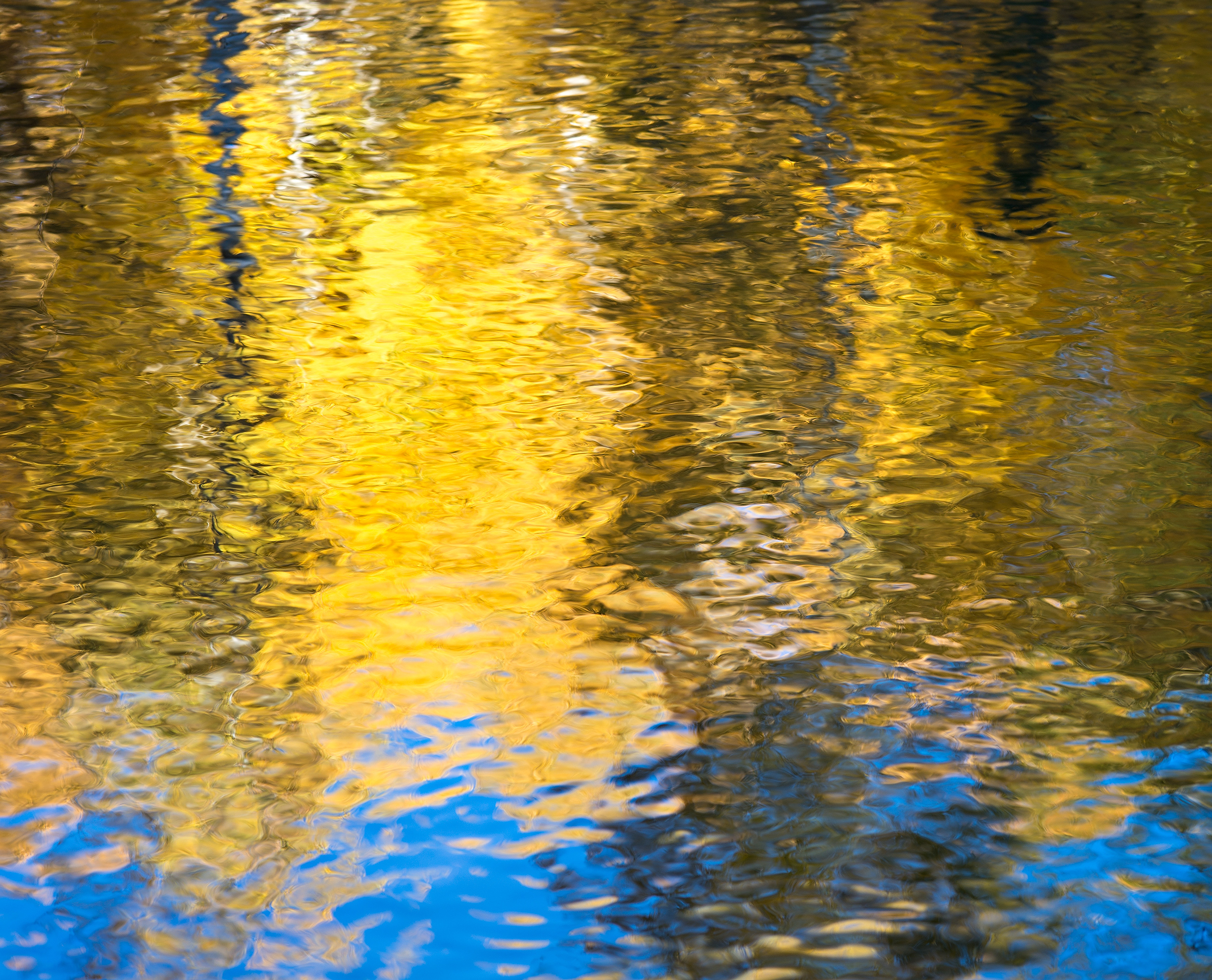 Aspen Reflections