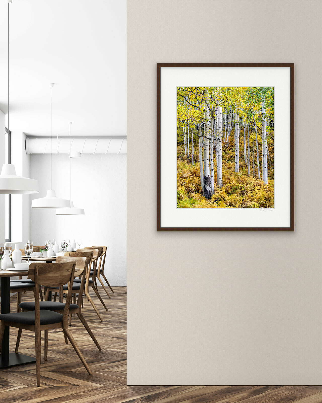 Ferns and Aspens